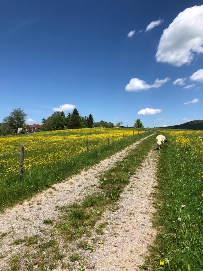 شقة Pfaffensteghof Rickenbach  المظهر الخارجي الصورة