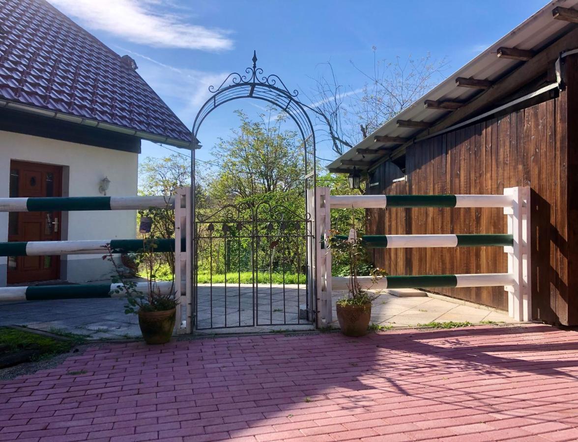 شقة Pfaffensteghof Rickenbach  المظهر الخارجي الصورة
